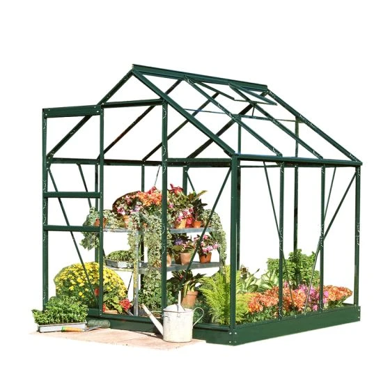 6'4 X 6'5 Green Frame Halls Popular 66 Small Greenhouse (1.93 X 1.95m) - Image 5