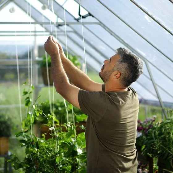 10' X 12' Palram Canopia Balance Silver Greenhouse (3.04m X 3.66m) - Image 14