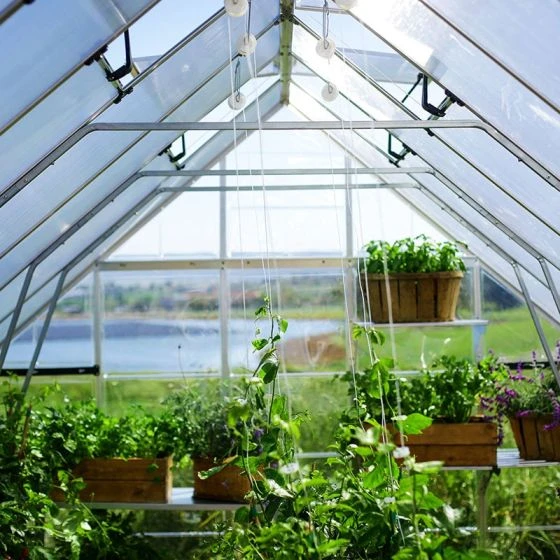 10' X 12' Palram Canopia Balance Silver Greenhouse (3.04m X 3.66m) - Image 15