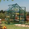6'x4' Palram Canopia Harmony Small Green Polycarbonate Greenhouse (1.8x1.2m)