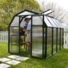 6'x8' Palram Canopia Rion EcoGrow Green Greenhouse With Resin Frame (2.04m X 2.63m)