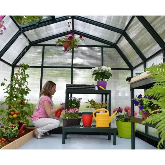 8'x8' Palram Canopia Rion Hobby Gardener Walk In Green Greenhouse (2.4x2.4m) - Image 7