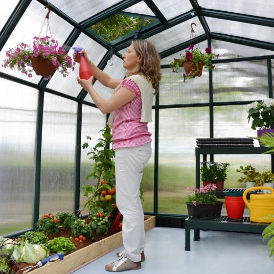 8'x8' Palram Canopia Rion Hobby Gardener Walk In Green Greenhouse (2.4x2.4m) - Image 8