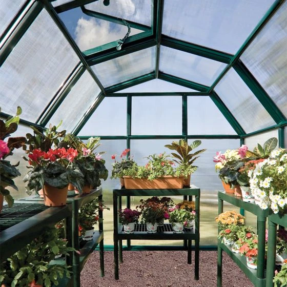 6'x6' Palram Canopia Rion EcoGrow Small Green Polycarbonate Greenhouse (1.8x1.8m) - Image 6