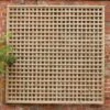 Forest 6' X 3' Premium Framed Decorative Contemporary Square Garden Trellis (1.8m X 0.9m)