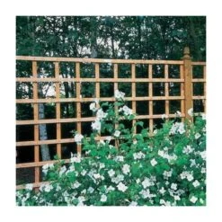 Forest 6' X 2' Heavy Duty Square Garden Trellis Fence Panel (1.83m X 0.61m)