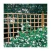Forest 6' X 4' Heavy Duty Square Garden Trellis Fence Panel (1.83m X 1.22m)