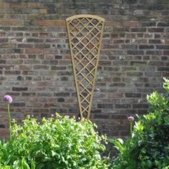 6' X 2' Forest Hidcote Decorative Diamond Lattice Fan Trellis (1.8m X 0.61m)