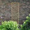 Forest 6' X 2' Hidcote Decorative Diamond Wooden Lattice Trellis (1.8m X 0.6m)