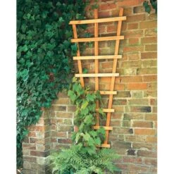 Forest 2' X 6' Decorative Fan Wall Trellis (0.66m X 1.83m)
