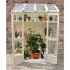 5'x2' Forest Victorian Tall Wall Greenhouse (1.5x0.6m)